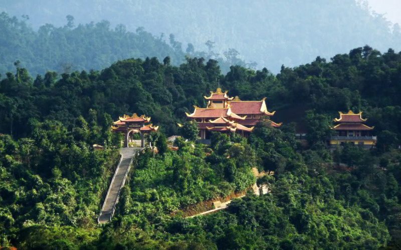 ve-dep-thien-vien-truc-lam-ham-rong