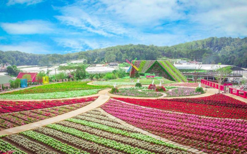 Vườn hoa vạn thành