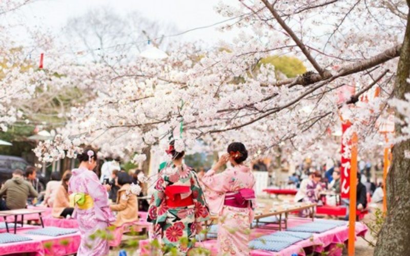 Lễ hội Hanami