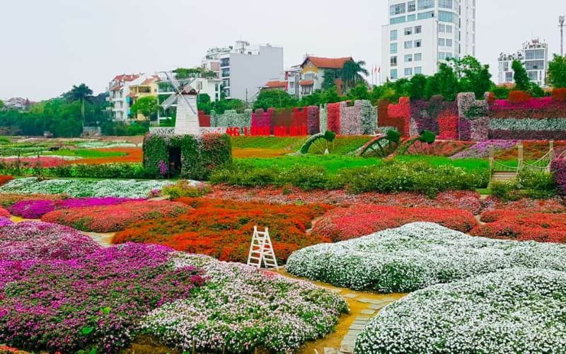 thung-lung-hoa-tay-ho