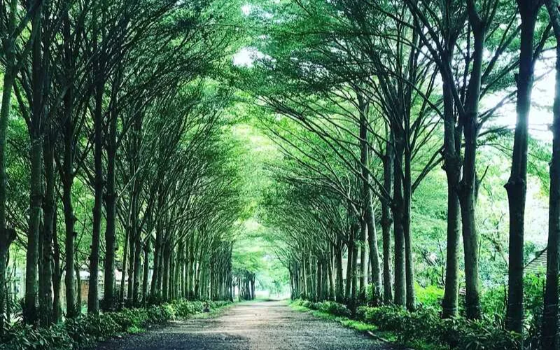 du lịch sinh thái củ chi