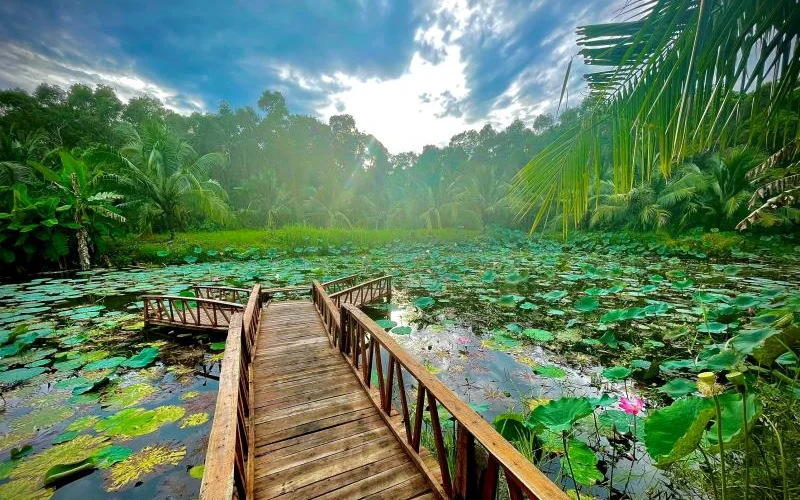 du lịch sinh thái là gì