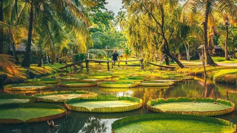 Khu du lịch Văn Thánh Sài Gòn – Cẩm nang từ A-Z, giá vé và trải nghiệm 2026