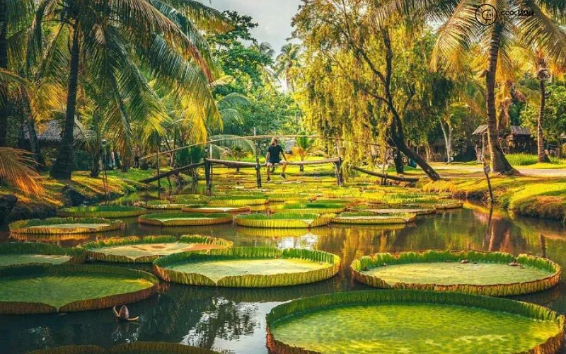 Khu du lịch Văn Thánh Sài Gòn – Cẩm nang từ A-Z, giá vé và trải nghiệm 2026