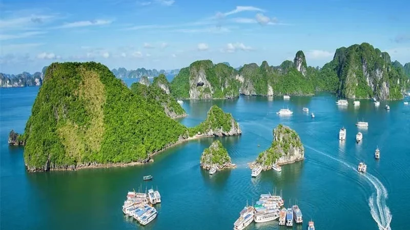 Tuyển tập những các bài văn miêu tả Vịnh Hạ Long – Văn mẫu tiểu học hay nhất 2026
