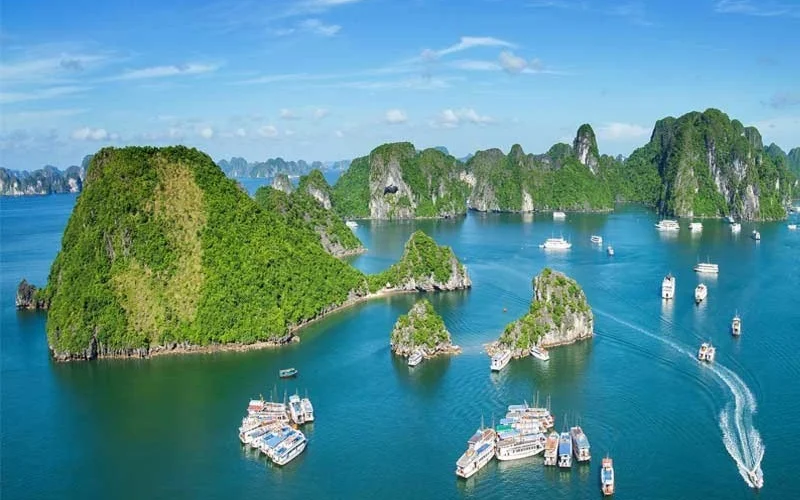 Tuyển tập những các bài văn miêu tả Vịnh Hạ Long – Văn mẫu tiểu học hay nhất 2026