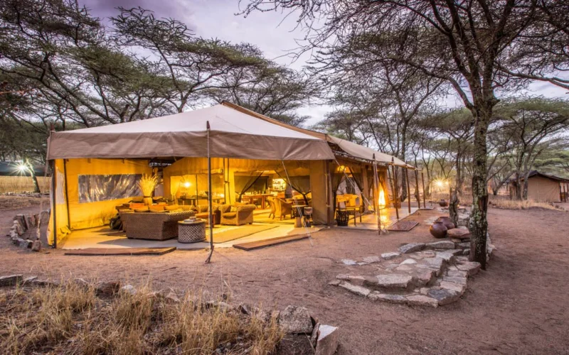 vì sao glamping hấp dẫn