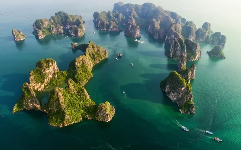 vịnh bái tử long