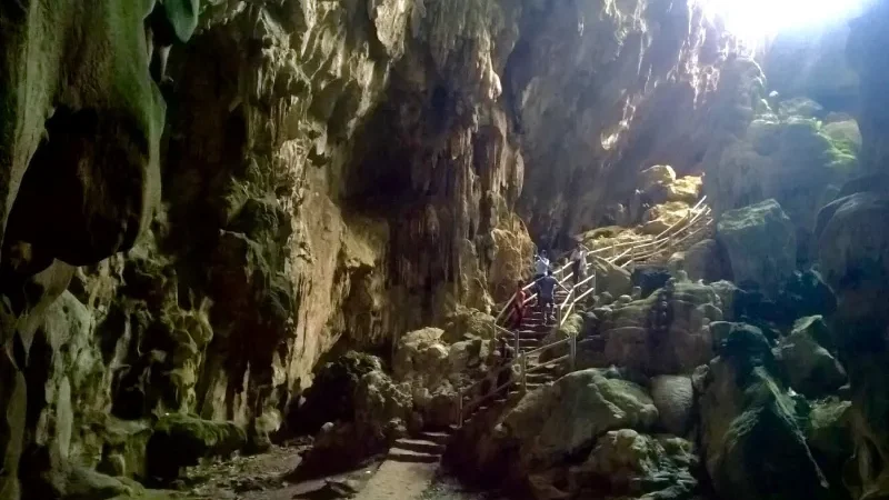 Chia sẻ kinh nghiệm du lịch hang Phượng Hoàng tự túc mới nhất 2026