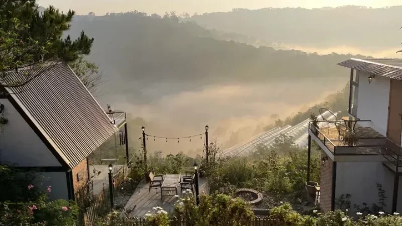 Khám phá 10 homestay Đà Lạt giá rẻ, gần trung tâm có view đẹp nhất 2026