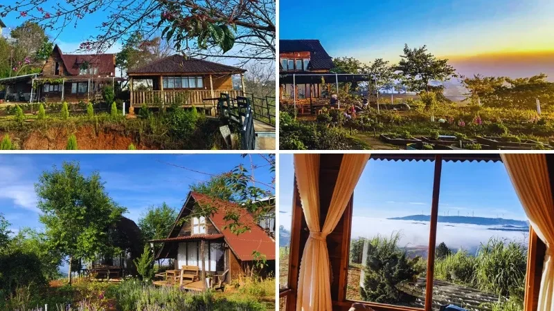 Khám phá 10 Homestay nguyên căn Đà Lạt giá tốt cho thuê theo ngày